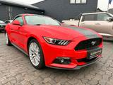 Ford Mustang 2.3 EcoBoost Auto Cabrio+Navi+DAB+Kamera - gebrauchte Ford Roadster