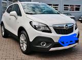 Opel zu Verkaufen - Opel: Verkaufen