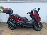 Honda Forza NSS 350 A Werksgarant Euro5+ + Apfelkuchen - ROLLER EU