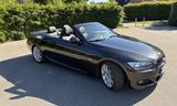 BMW 325i Cabrio M Sport Edition 74 TKM  - BMW 325 in Hamburg