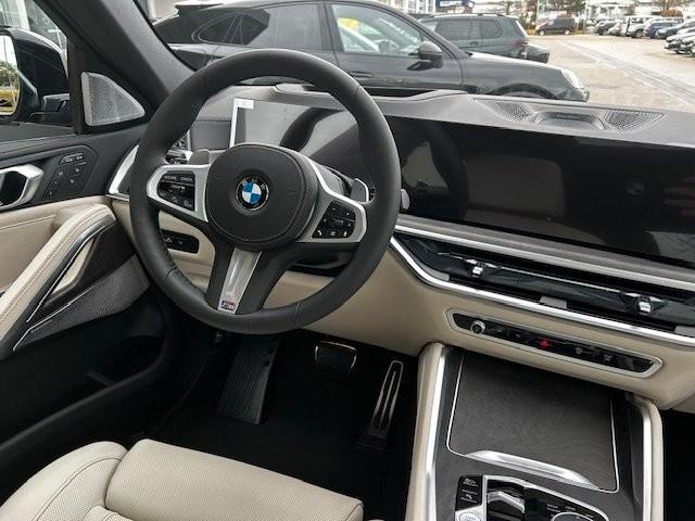 BMW X6 xDrive40d/SEPANG BRONZE/1OF/B&W/FULL-FULL! – 13