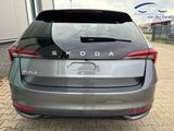 Skoda "Selection" (1) LIEFERUNG KOSTENLOS! Angebot ... - Neuwagen: Angebot