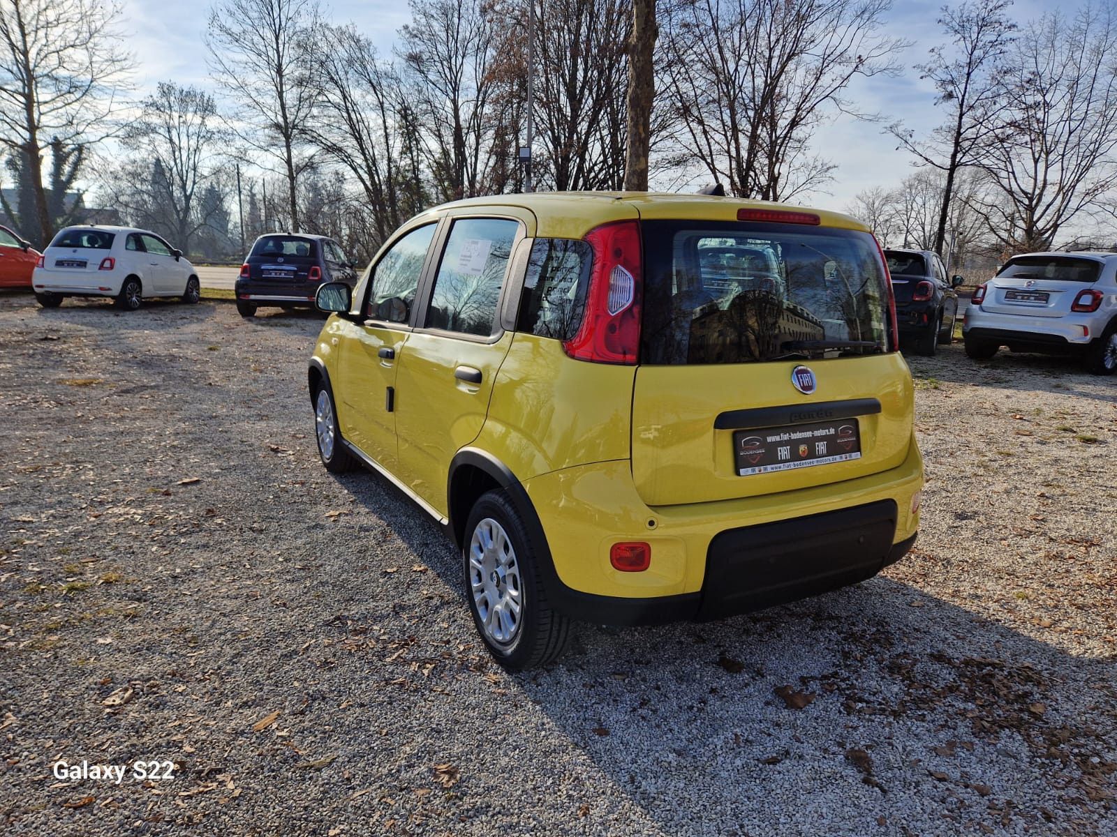 Fahrzeugabbildung Fiat Panda Pandina