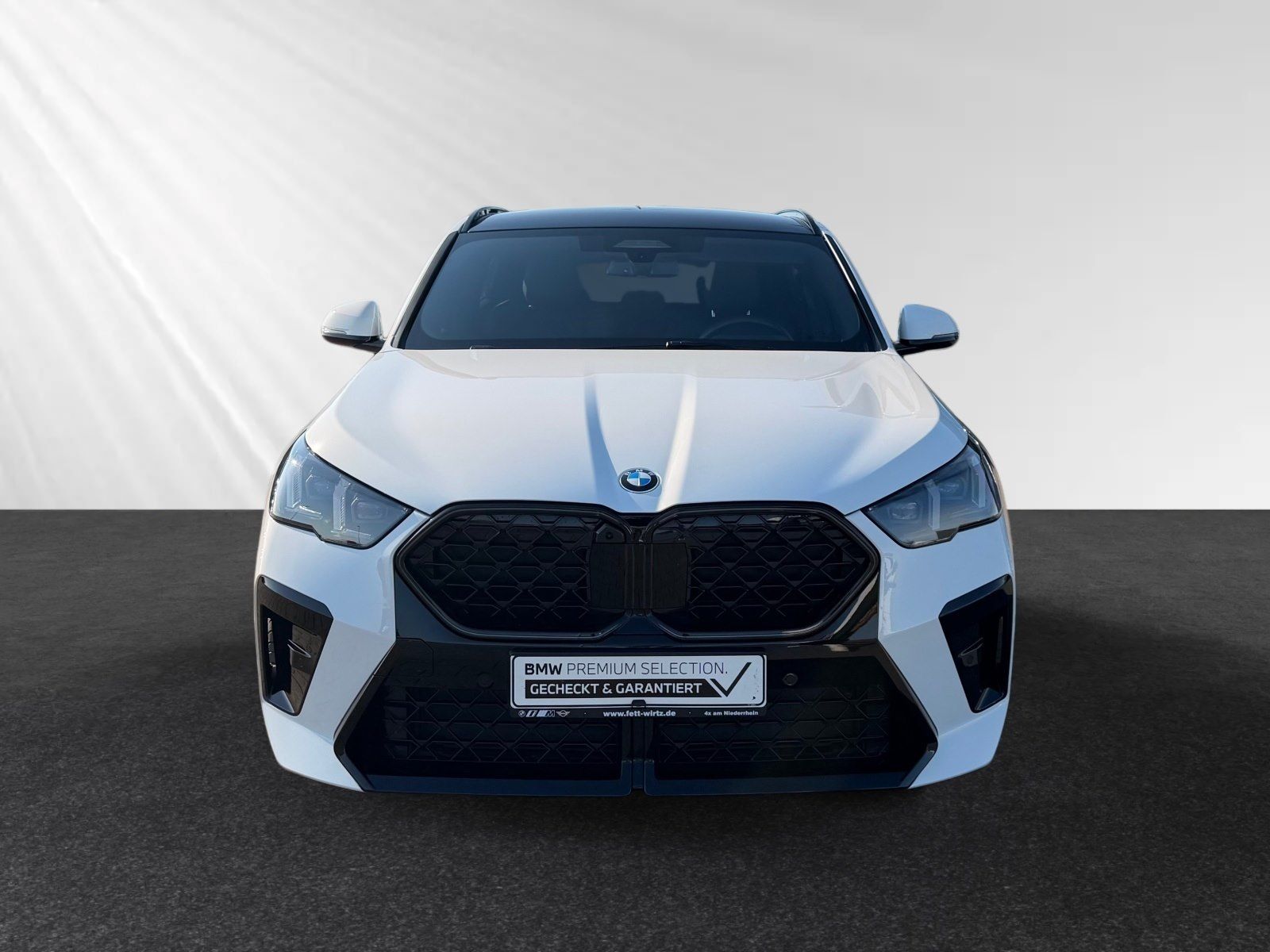 BMW X2 xDrive20d M Sport Pro AHK Panorama HUD H K foto 5