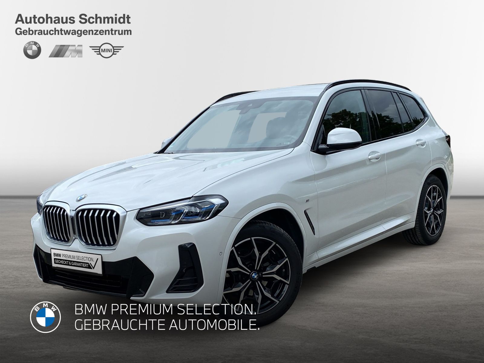 BMW X3 xDrive20d 493€ netto/mtl*M Sportpaket*HiFi*AH