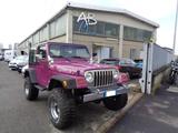 Jeep JEEP Wrangler 4.0 cat Hard top (EU) *GPL* *CRS*  - Jeep Wrangler: Hard Top