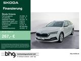 Skoda Octavia Combi 1.0 TSI e-TEC DSG First Edition - Skoda in Tübingen
