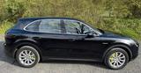 Porsche Cayenne E-Hybrid | Garantie bis 10/2027  - Porsche Cayenne in Kassel