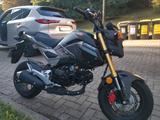 Honda MSX 125 (Grom) - Offers