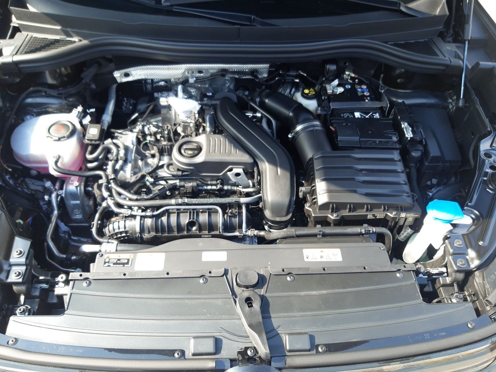 Tiguan Goal 1,5 l eTSI OPF 110 kW (150 PS) 7-Gan