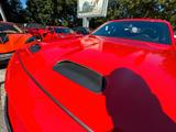 Dodge Challenger 3.6 V6 SXT Widebody/R20/Carply/TorRed - Dodge Challenger Gebrauchtwagen
