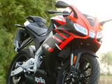 Aprilia RS 125 2024 GARANTIE Neuwertig/Top gepflegt  - APRILIA RS 125 2T