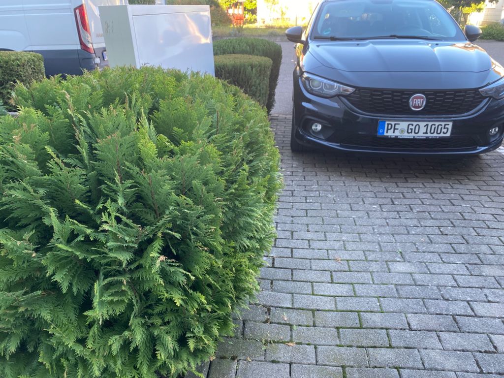 Image of Fiat Tipo