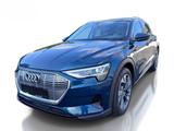 Audi e-tron 50 quattro basis ACC KAMERA NAVI SITZHZG - Audi e-tron aus 2020