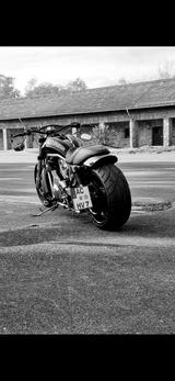 Harley-Davidson V Rod Street Rod Night Rod  - HARLEY-DAVIDSON STREET ROD