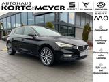 Seat Leon Xcellence 1.5TSI 6-Gang+ACC+Navi+Sitzhzg - Seat Leon mit Benzin-Antrieb: Limousine, 1.6