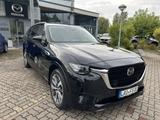 Mazda CX-80 3.3L 254PS 8AT AWD Takumi Plus CATA - Mazda CX-80 Gebrauchtwagen