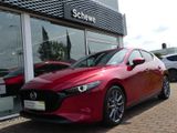Mazda 3 SKYACTIV-G M-Hybrid 150 Sel.+DESIGN iACT+BOSE - Mazda 3 aus 2021