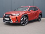 Lexus UX 250h Style Edition voll-LED+ACC+SHZ+DAB - Lexus UX Gebrauchtwagen