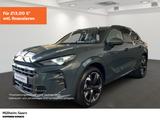 Seat Terra mar 1.5 eTSI DSG Matrix LED Kamera Anschlu - Seat Terra Gebrauchtwagen