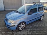 Fiat Panda 1.3 16V JTD Dynamic*Klima*Selten*Wenig Km* - Fiat Panda mit Diesel-Antrieb: 3.1