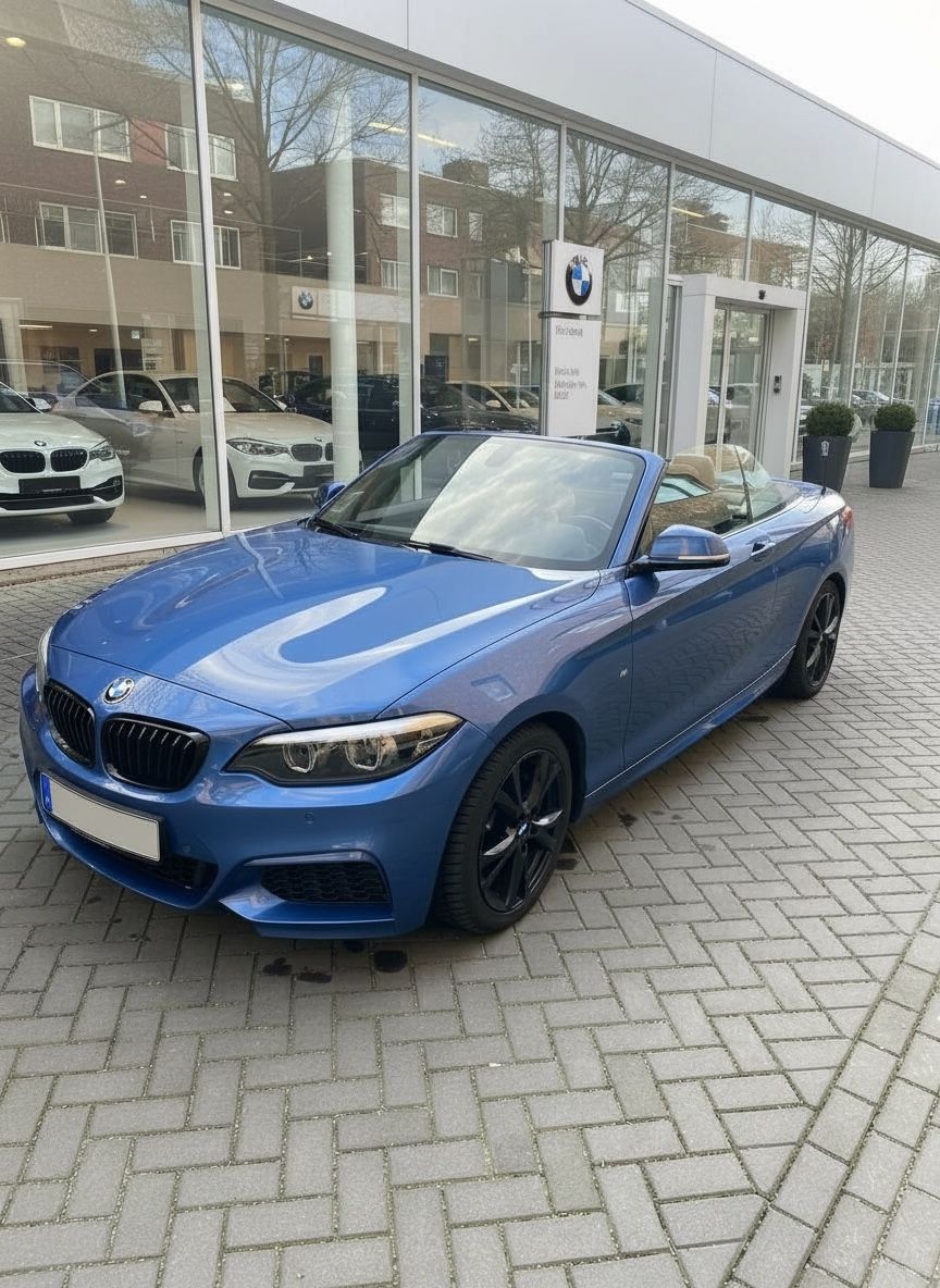 BMW BMW 218i Cabrio M Sport Aut. Navi Leder PDC ACC