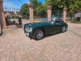 Austin Healey MK II - Austin Healey Oldtimer