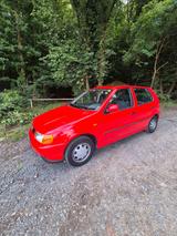 Volkswagen Vw Polo 6N 1,4 Liter 60 Ps Tüv  07/2027 - Volkswagen Polo mit Benzin-Antrieb: Kleinwagen, 60 Ps