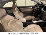 Audi A5 Coupe 3.0 TDI quattro Xen VLeder Nav+ 18"Pano - Audi A5 bis 5.000 Euro