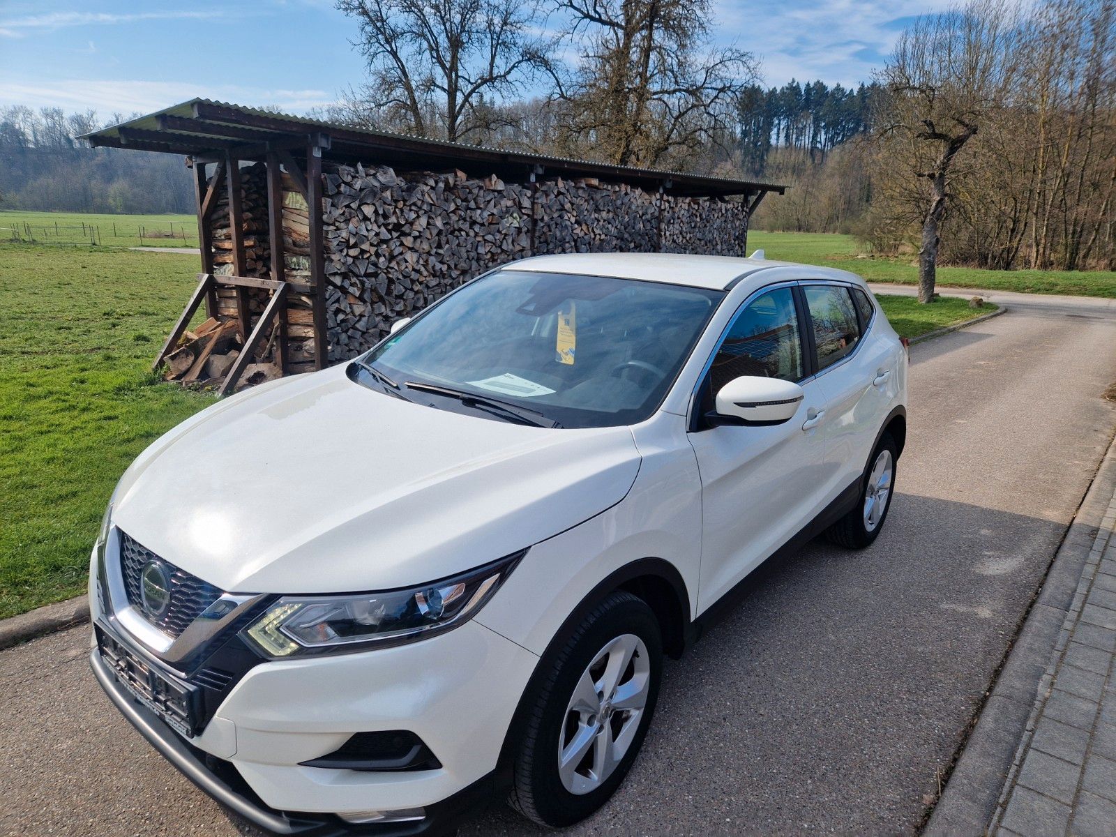 Nissan Qashqai Shiro imagem 2
