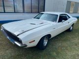 Dodge Challenger 340 SixPack  ** MATCHING # ** - Dodge Challenger Gebrauchtwagen in Hamburg
