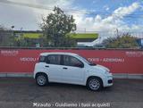 Fiat Panda 1.0 FireFly S&S Hybrid - Fiat Panda: Fire