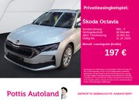 Skoda Octavia - Vorschau Bild 1