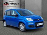 Fiat Panda MY25 1.0*Klima|Tempomat|Bluetooth|PDC* - Fiat Panda in Rostock
