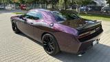 Dodge Challenger 6.4 Scat Pack Hellraisin - Dodge Challenger: Scat Pack