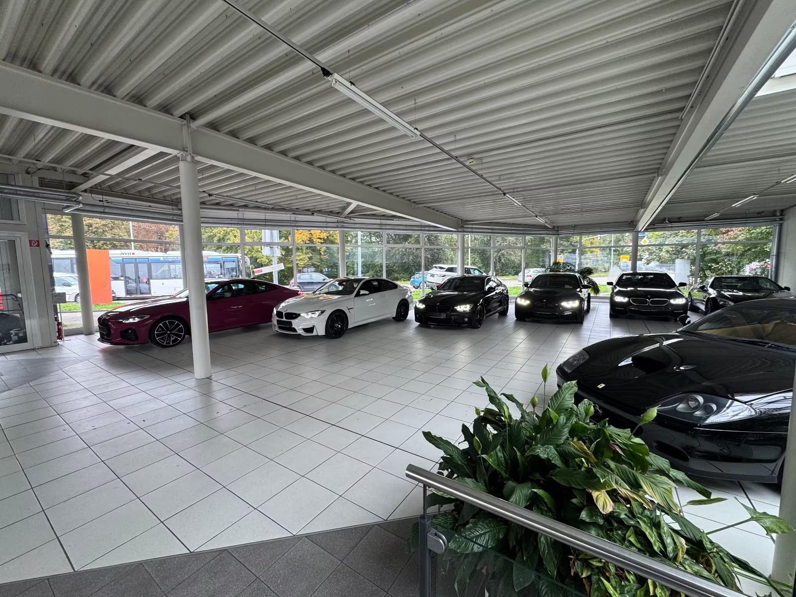 showroom-image-main