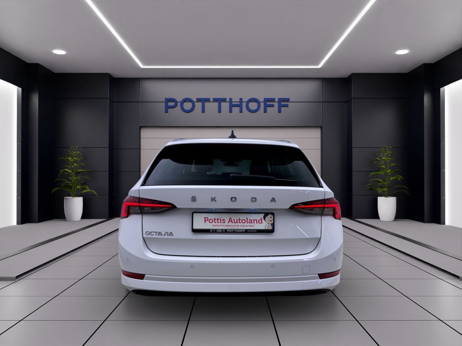 Skoda Octavia - Bild 4