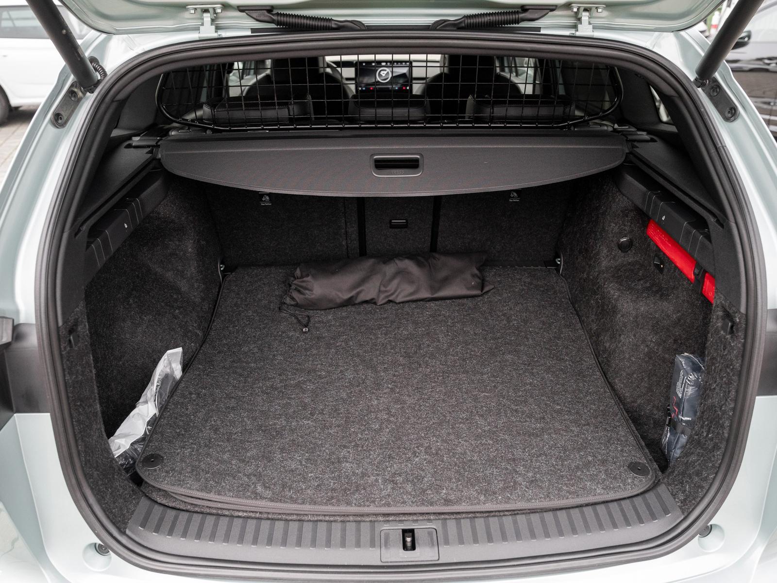 Skoda ENYAQ iV 80x DCC AHK Leder Navi W-Pumpe el.Heck