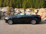 Ford Focus Cabrio Black Magic *WENIG KM* - Ford Focus: Cabrio
