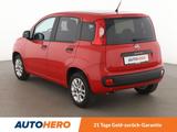 Fiat Panda 1.2 More*PDC*ALU*KLIMA* - Fiat Panda: 1.2