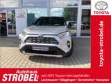 Toyota RAV 4 2.5 4x2 Hybrid Style Selection - Toyota RAV 4: Style Selection