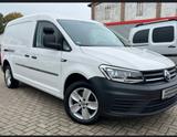 Volkswagen Caddy Nfz Maxi /R-Kamera/PDC/S-Heft/HU&AU - Volkswagen Caddy: Kombi, Maxi