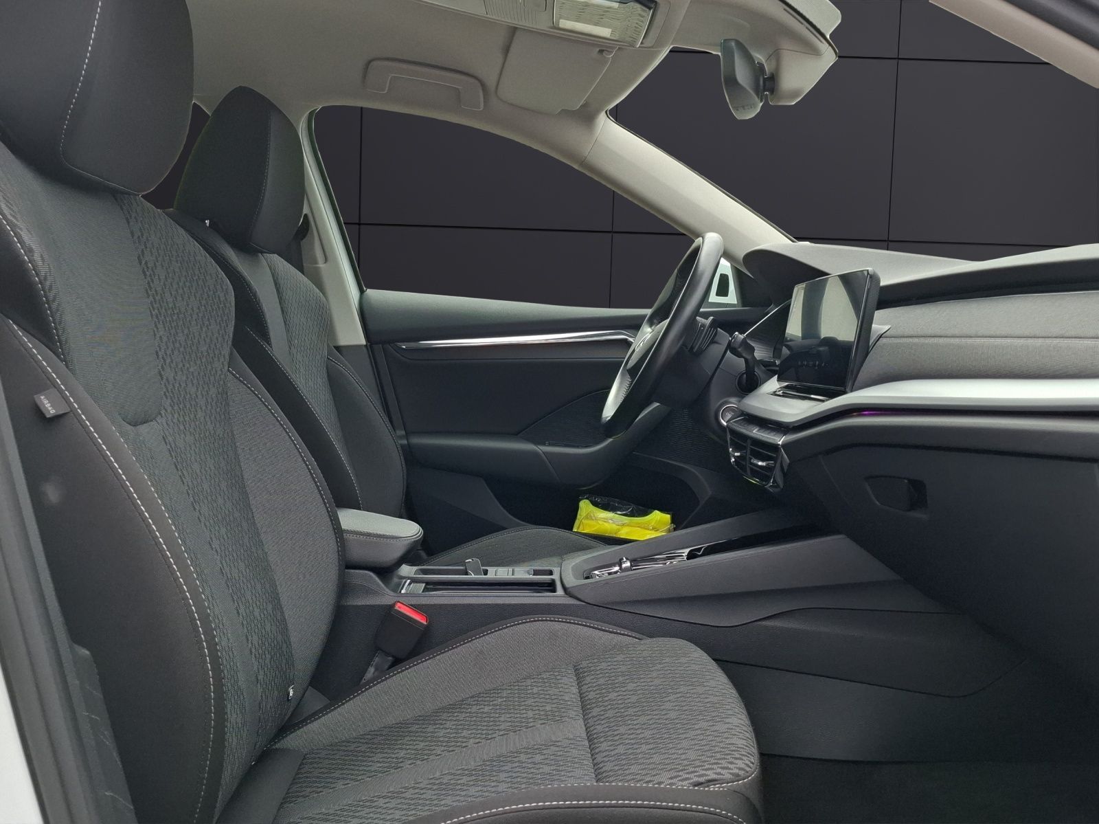 Fahrzeugabbildung SKODA Octavia Combi TDI First-Edition DSG Matrix AHK N