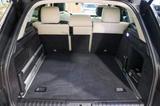 Land Rover Range Rover Sport HSE Dynamic 5,0 - Land Rover Range Rover Sport mit Benzin-Antrieb: Hse