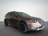 Skoda Octavia Combi 2.0 TDI Scout 4x4 /AHK/LED/ - Skoda: Combi Scout
