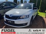 Skoda Rapid 1.2 TSI Edition SHZ|Pano|Xen.|Winter - Skoda Rapid Gebrauchtwagen