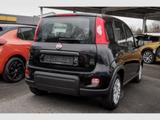 Fiat Panda Hybrid 1.0 PDC Klima dig.Kombiinstr. Temp. - Fiat Panda in Hamm