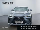 Lexus NX 450h+ E-FOUR Executive Line *AHK*Leder*360Gra - Lexus: Nx