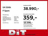 Lexus UX 300h F Sport Design Klimaaut., ACC,SpurH, LM - Lexus Jahreswagen