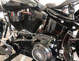 Harley-Davidson Cross Bones Custom - HARLEY-DAVIDSON 2008